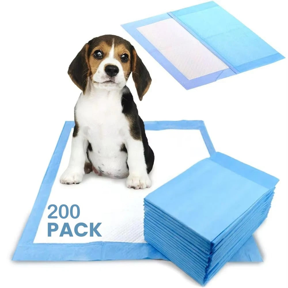 Töpfchen Training Urin Vorlage Einweg Hund Katze TRENDMOPS NAPPYPAW