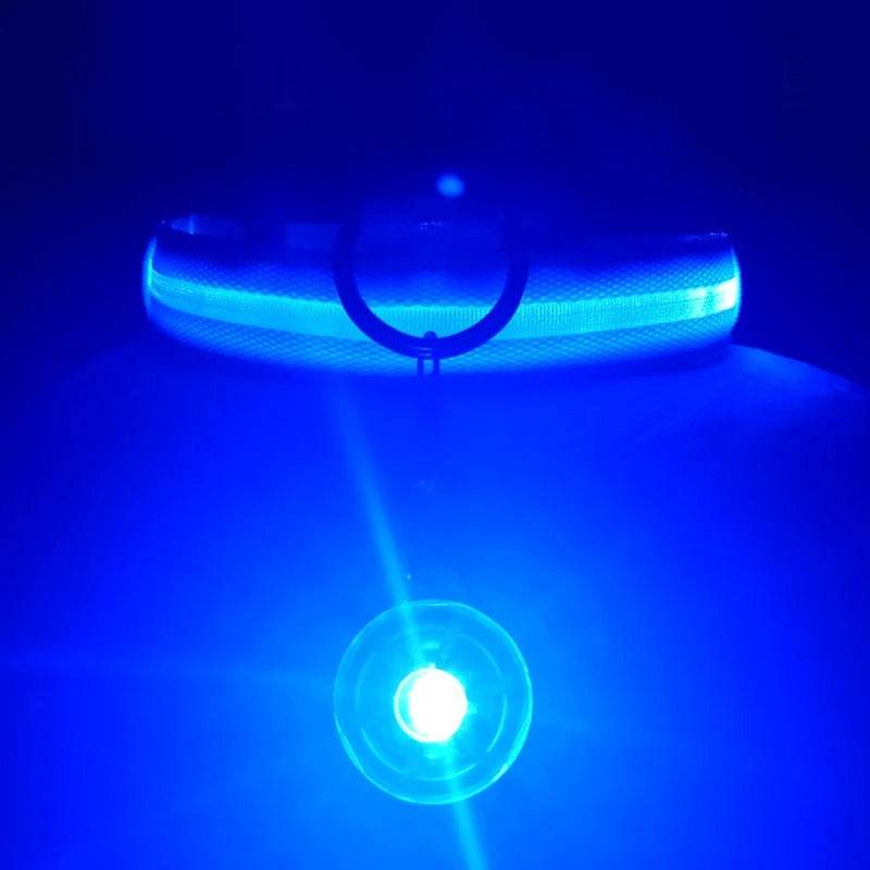 LED Hundehalsband blinkend mit Anhänger USB Batterie TRENDMOPS LUMINELLA - Trendmops