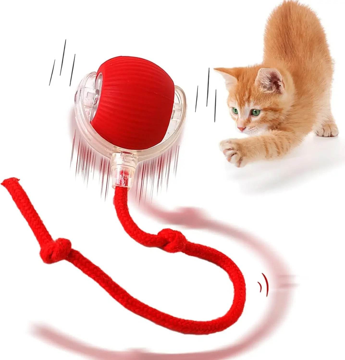 Interaktives Katzenspielzeug Ball Beschäftigung USB TRENDMOPS INTELLYCATCH - Trendmops