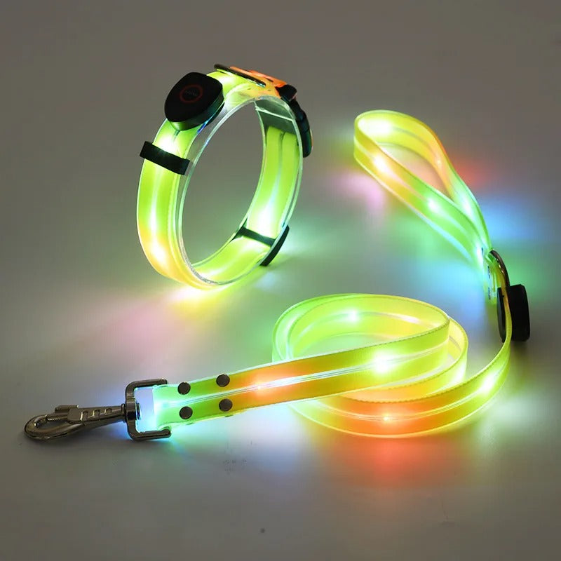 Hundeleine Halsband leuchtend LED Leine Hund TRENDMOPS BLINKYWALK