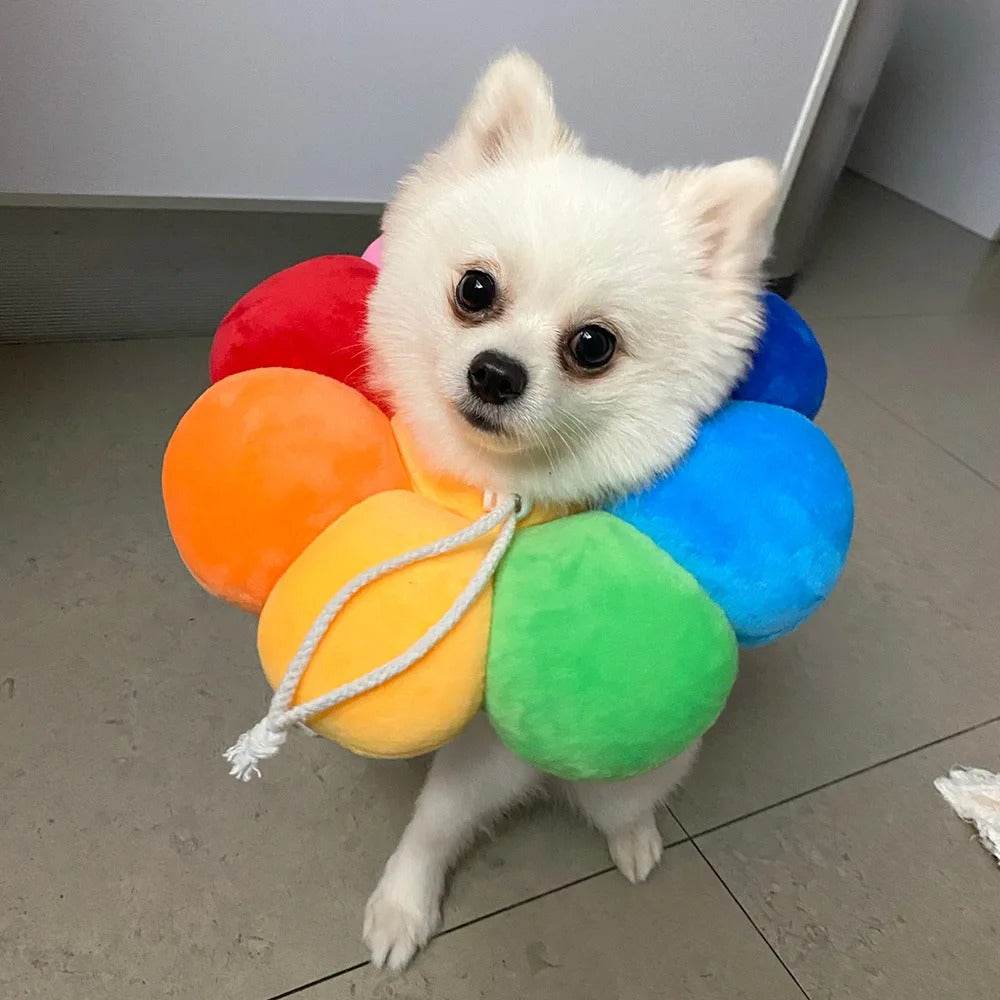 Halskrause Schutzkragen Katze Hunde TRENDMOPS MEDICAPAW - Trendmops