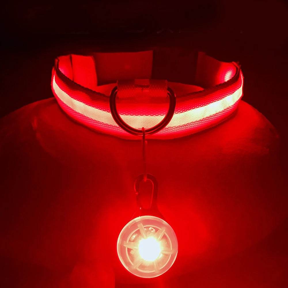 LED Hundehalsband blinkend mit Anhänger USB Batterie TRENDMOPS LUMINELLA - Trendmops