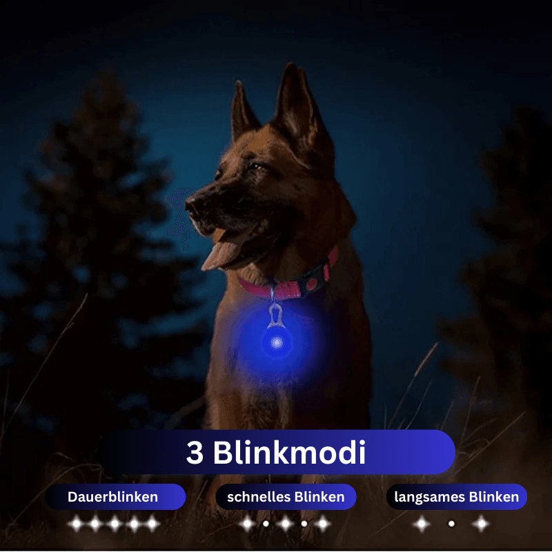 LED Hundehalsband blinkend mit Anhänger USB Batterie TRENDMOPS LUMINELLA - Trendmops