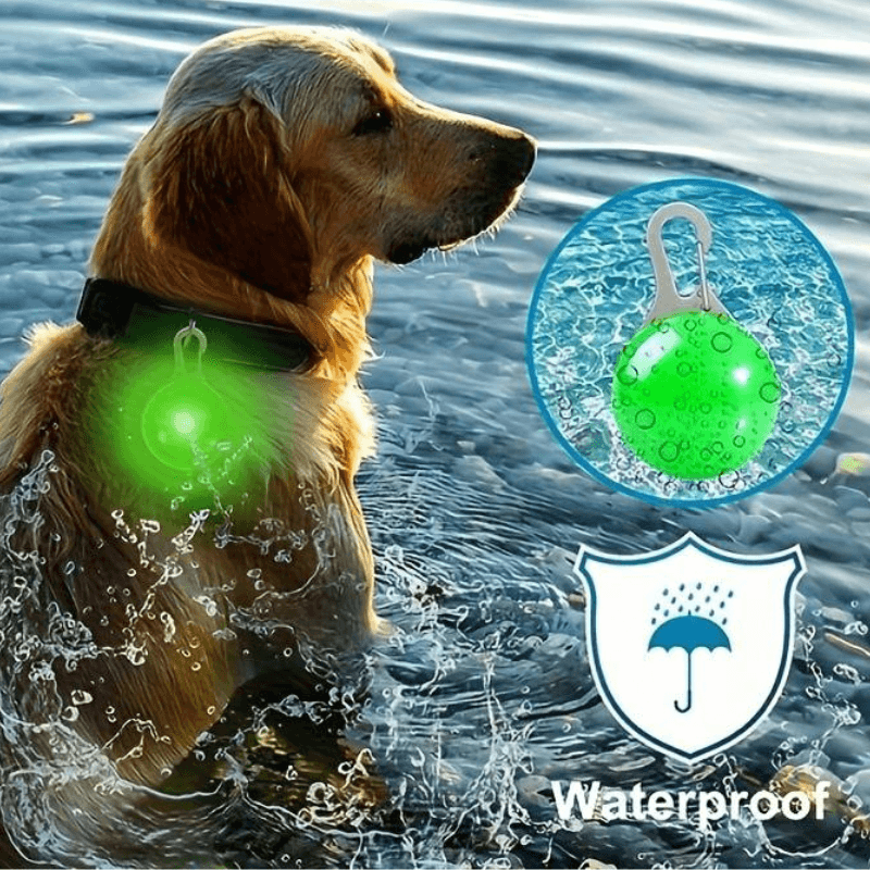 LED Hundehalsband blinkend mit Anhänger USB Batterie TRENDMOPS LUMINELLA - Trendmops