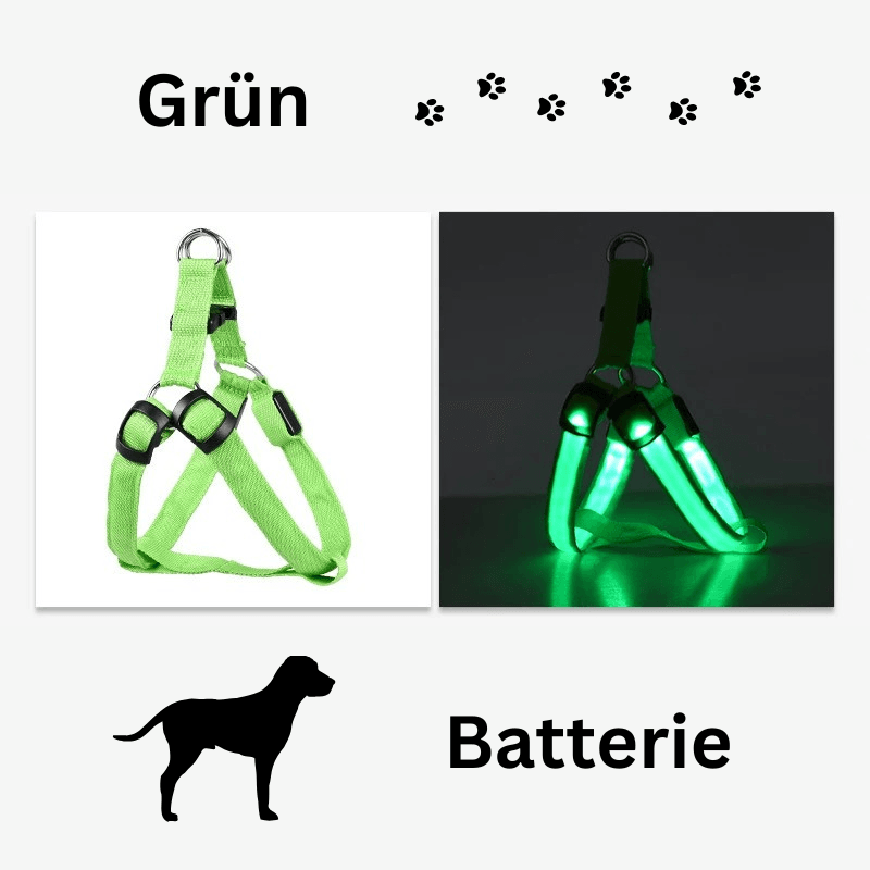 Hundegeschirr Brustgeschirr Hundeleine leuchtend TRENDMOPS LUMIAPAW - Trendmops