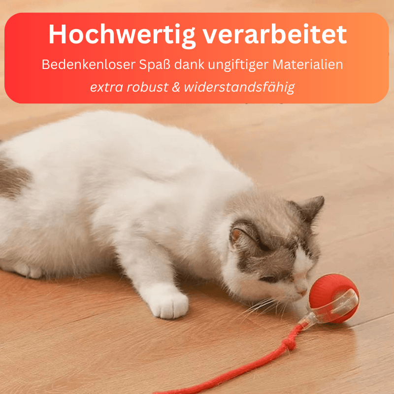 Interaktives Katzenspielzeug Ball Beschäftigung USB TRENDMOPS INTELLYCATCH - Trendmops