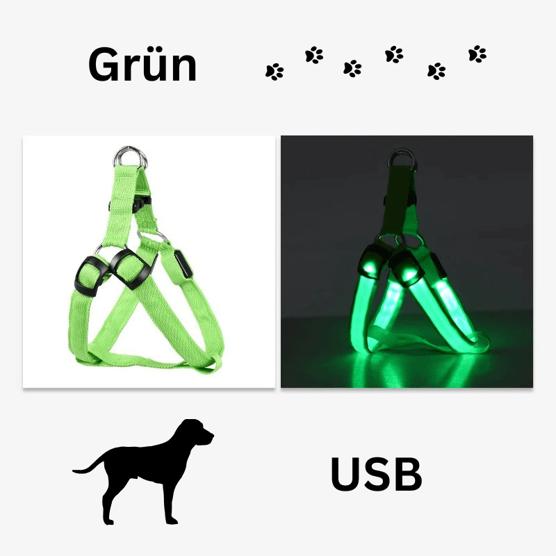 Hundegeschirr Brustgeschirr Hundeleine leuchtend TRENDMOPS LUMIAPAW - Trendmops