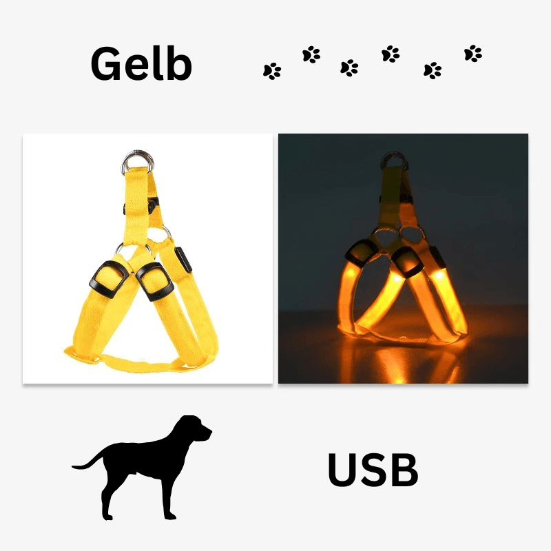 Hundegeschirr Brustgeschirr Hundeleine leuchtend TRENDMOPS LUMIAPAW - Trendmops