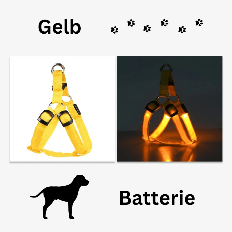 Hundegeschirr Brustgeschirr Hundeleine leuchtend TRENDMOPS LUMIAPAW - Trendmops