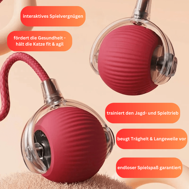 Interaktives Katzenspielzeug Ball Beschäftigung USB TRENDMOPS INTELLYCATCH - Trendmops