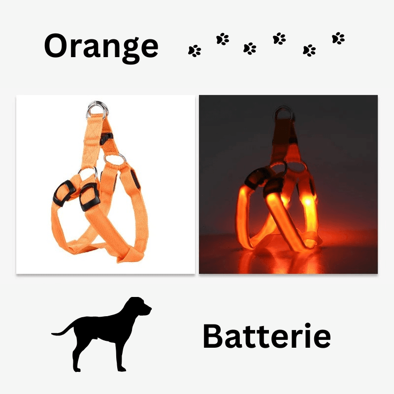 Hundegeschirr Brustgeschirr Hundeleine leuchtend TRENDMOPS LUMIAPAW - Trendmops