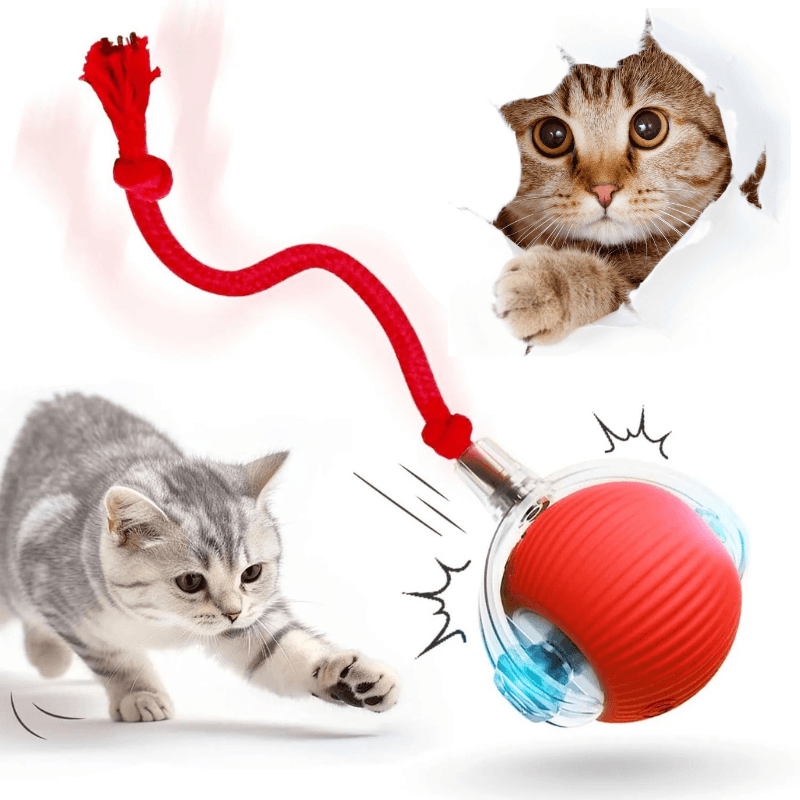 Interaktives Katzenspielzeug Ball Beschäftigung USB TRENDMOPS INTELLYCATCH - Trendmops