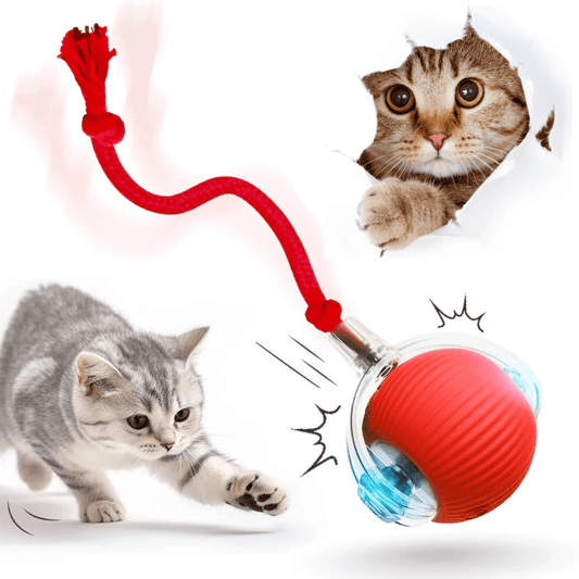 Interaktives Katzenspielzeug Ball Beschäftigung USB TRENDMOPS INTELLYCATCH - Trendmops
