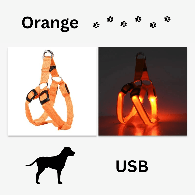 Hundegeschirr Brustgeschirr Hundeleine leuchtend TRENDMOPS LUMIAPAW - Trendmops