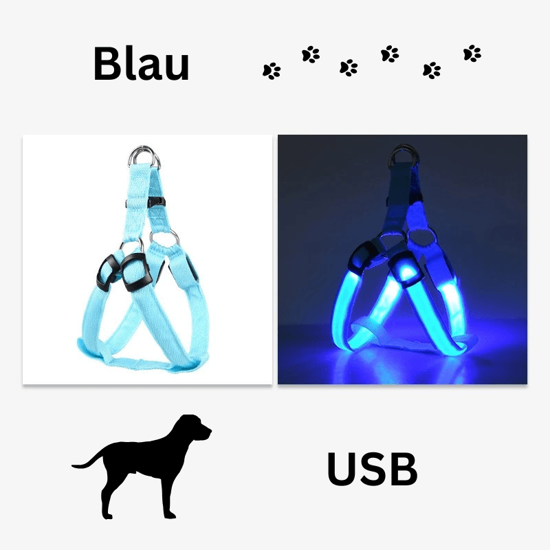 Hundegeschirr Brustgeschirr Hundeleine leuchtend TRENDMOPS LUMIAPAW - Trendmops