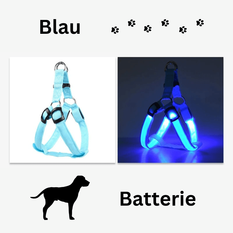 Hundegeschirr Brustgeschirr Hundeleine leuchtend TRENDMOPS LUMIAPAW - Trendmops