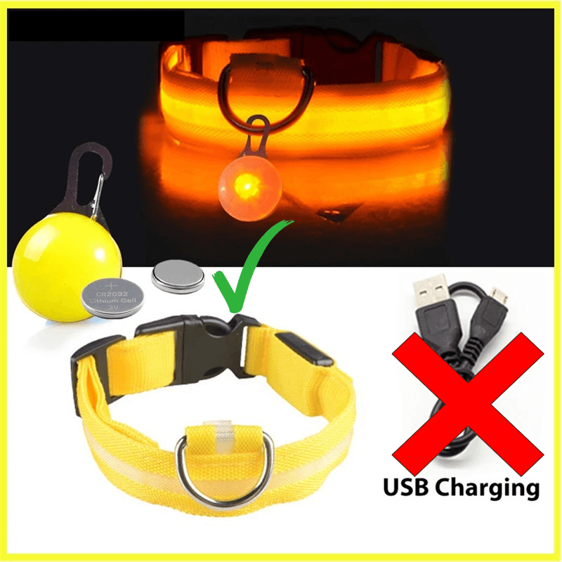 LED Hundehalsband blinkend mit Anhänger USB Batterie TRENDMOPS LUMINELLA - Trendmops