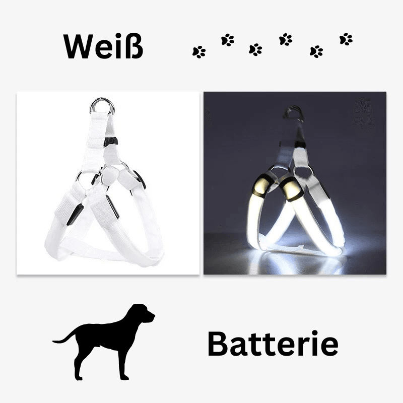 Hundegeschirr Brustgeschirr Hundeleine leuchtend TRENDMOPS LUMIAPAW - Trendmops