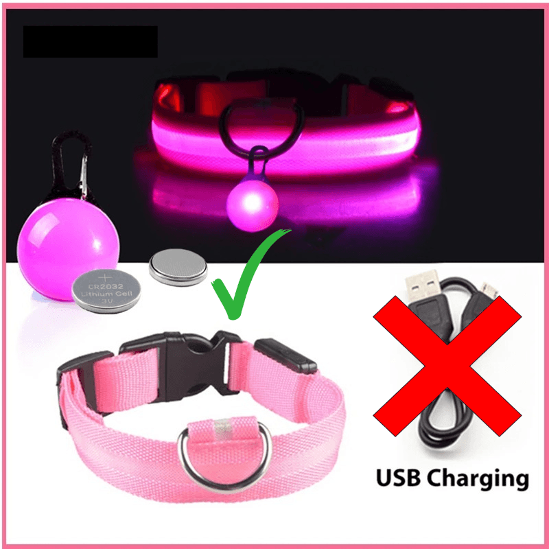 LED Hundehalsband blinkend mit Anhänger USB Batterie TRENDMOPS LUMINELLA - Trendmops
