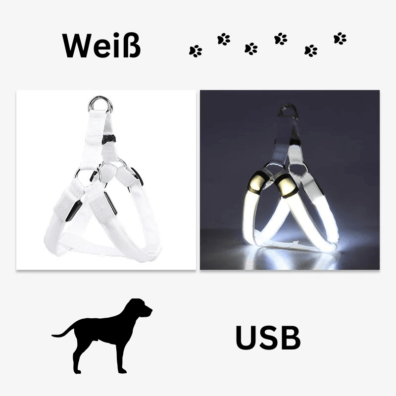 Hundegeschirr Brustgeschirr Hundeleine leuchtend TRENDMOPS LUMIAPAW - Trendmops