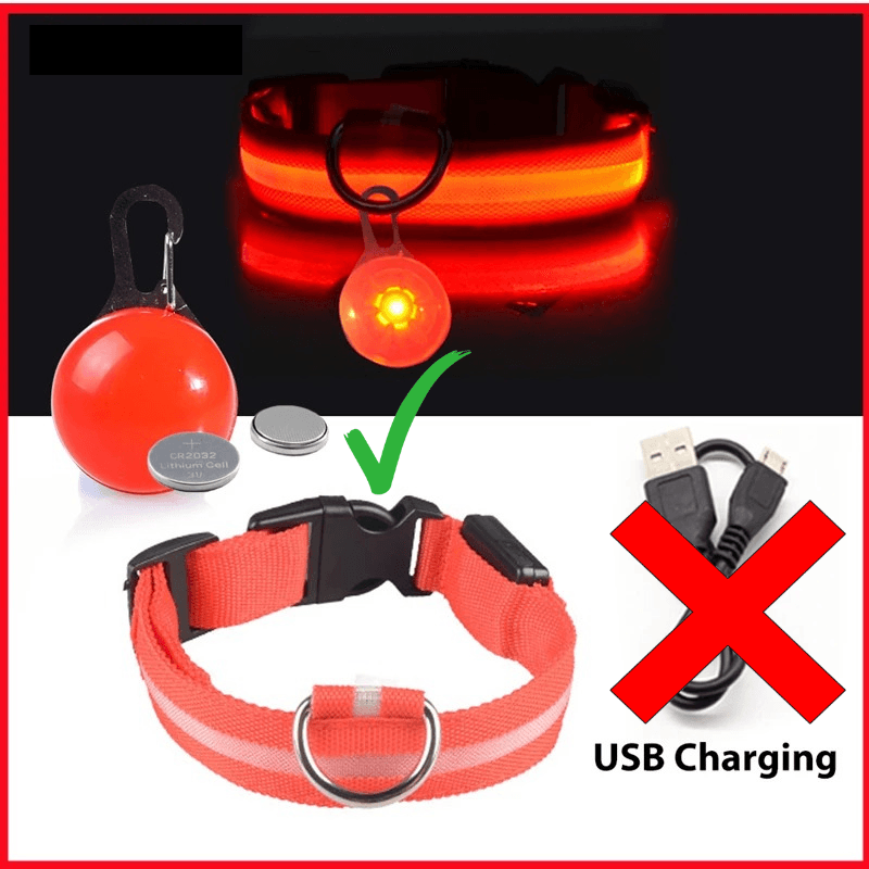 LED Hundehalsband blinkend mit Anhänger USB Batterie TRENDMOPS LUMINELLA - Trendmops