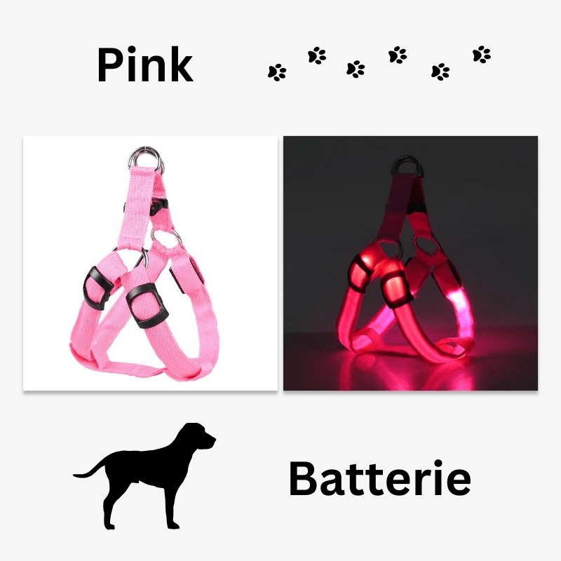 Hundegeschirr Brustgeschirr Hundeleine leuchtend TRENDMOPS LUMIAPAW - Trendmops