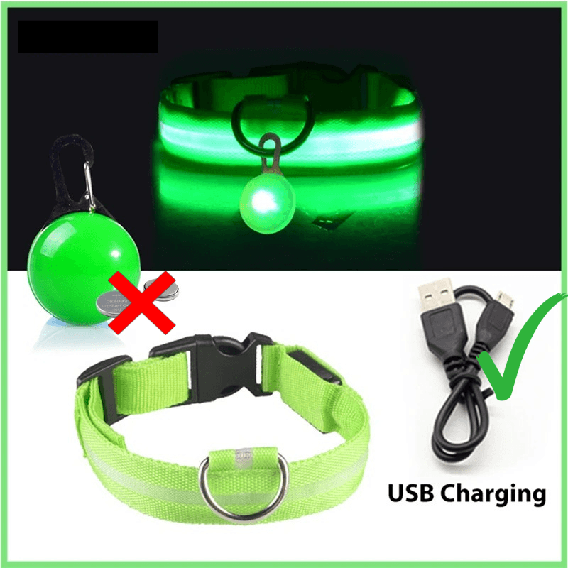 LED Hundehalsband blinkend mit Anhänger USB Batterie TRENDMOPS LUMINELLA - Trendmops