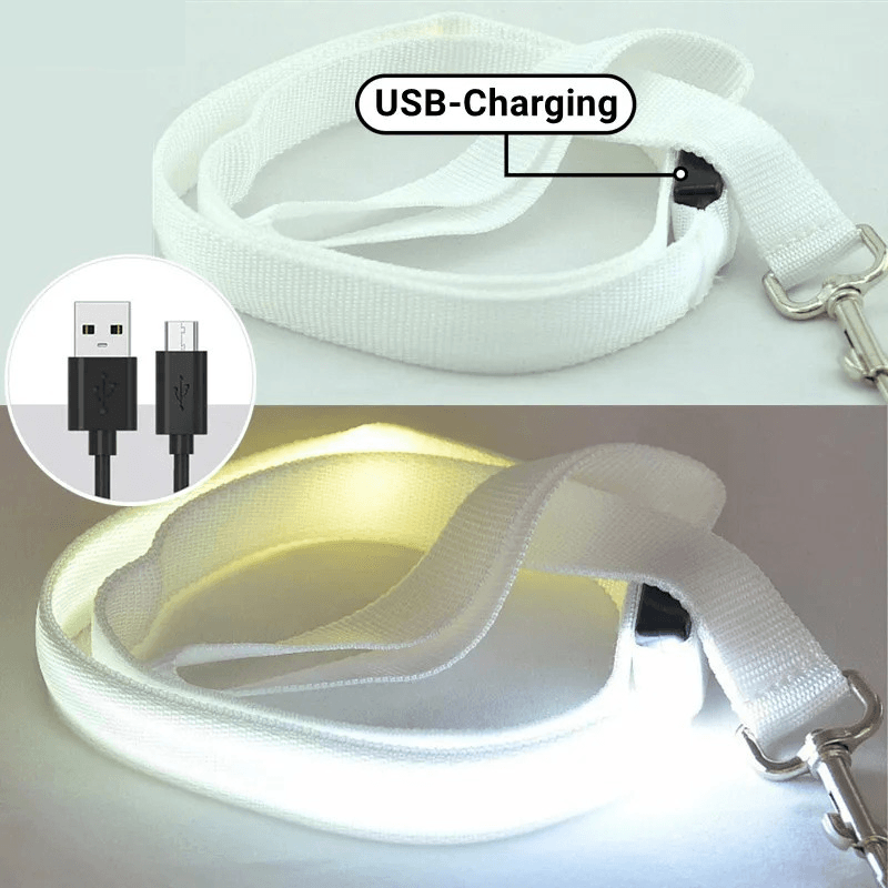 Leuchtende Hundeleine USB Batterie TRENDMOPS SHINYLEASH - Trendmops
