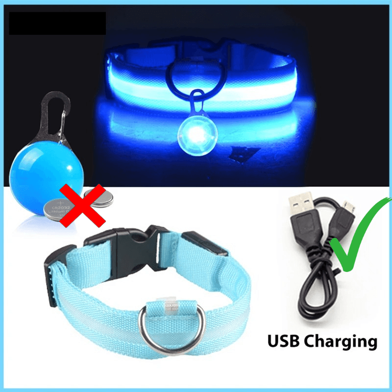 LED Hundehalsband blinkend mit Anhänger USB Batterie TRENDMOPS LUMINELLA - Trendmops