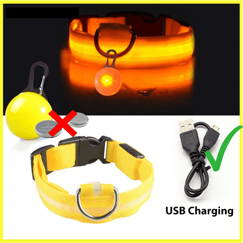 LED Hundehalsband blinkend mit Anhänger USB Batterie TRENDMOPS LUMINELLA - Trendmops