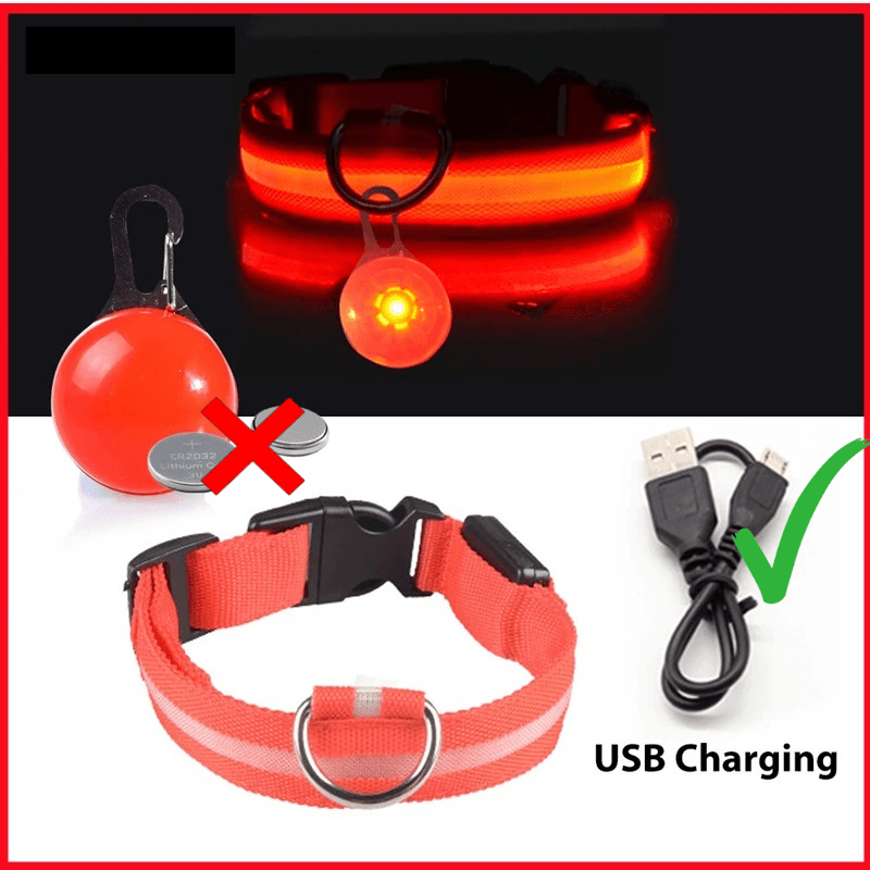 LED Hundehalsband blinkend mit Anhänger USB Batterie TRENDMOPS LUMINELLA - Trendmops