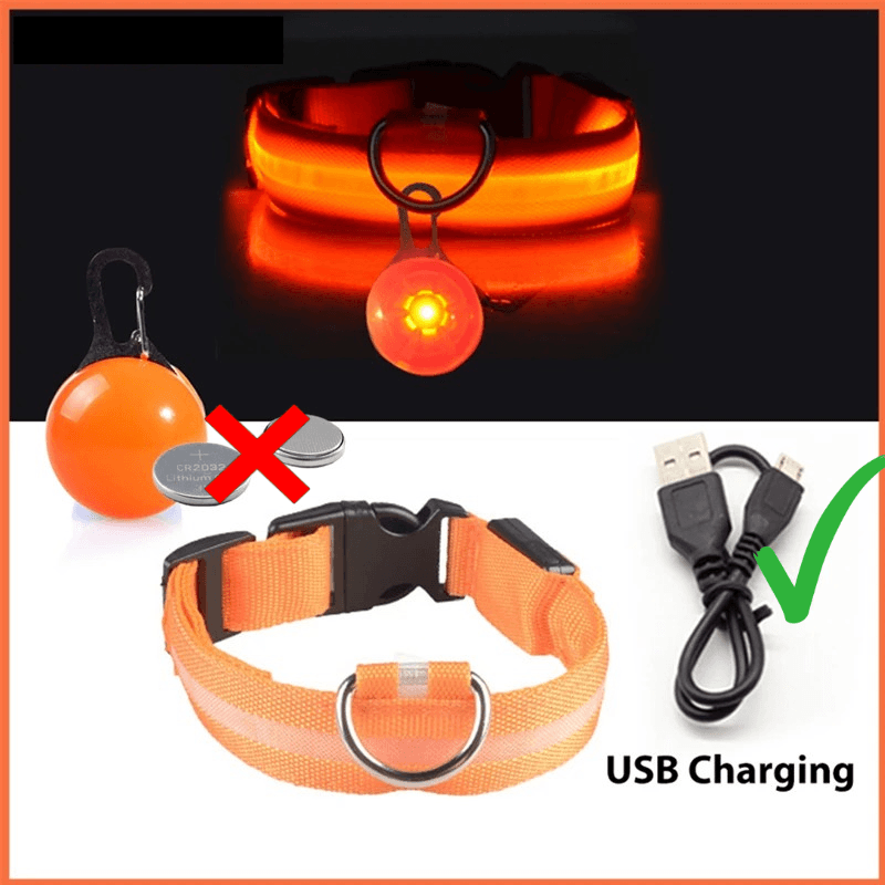 LED Hundehalsband blinkend mit Anhänger USB Batterie TRENDMOPS LUMINELLA - Trendmops