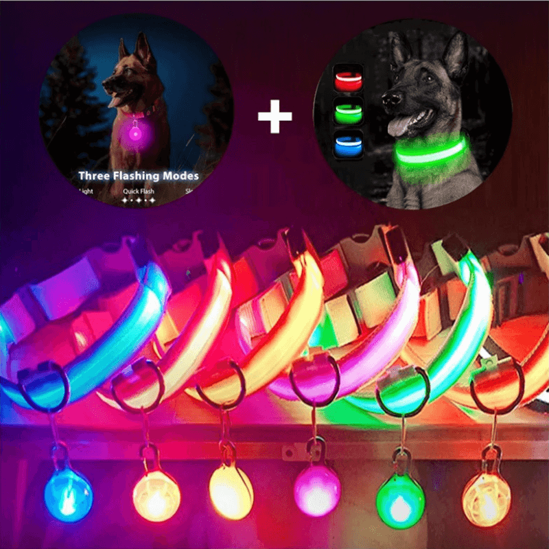 LED Hundehalsband blinkend mit Anhänger USB Batterie TRENDMOPS LUMINELLA - Trendmops