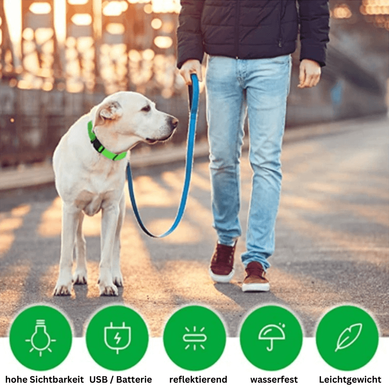 LED Hundehalsband blinkend mit Anhänger USB Batterie TRENDMOPS LUMINELLA - Trendmops
