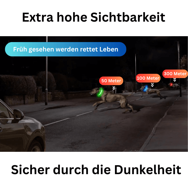 LED Hundehalsband blinkend mit Anhänger USB Batterie TRENDMOPS LUMINELLA - Trendmops