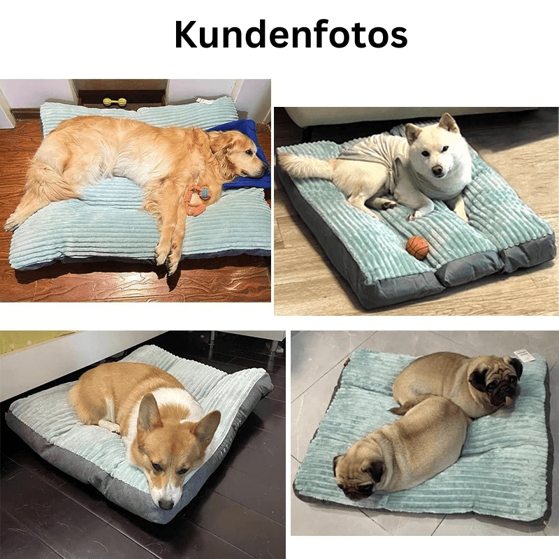 Hundebett Schlafplatz Cord abnehmbarer Bezug TRENDMOPS TRAUMTATZE - Trendmops