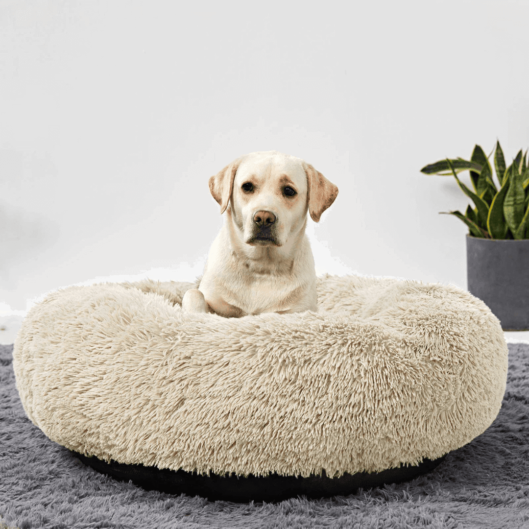Hundebett Donut rund kuschelig Plüsch TRENDMOPS COSYDONUT - Trendmops