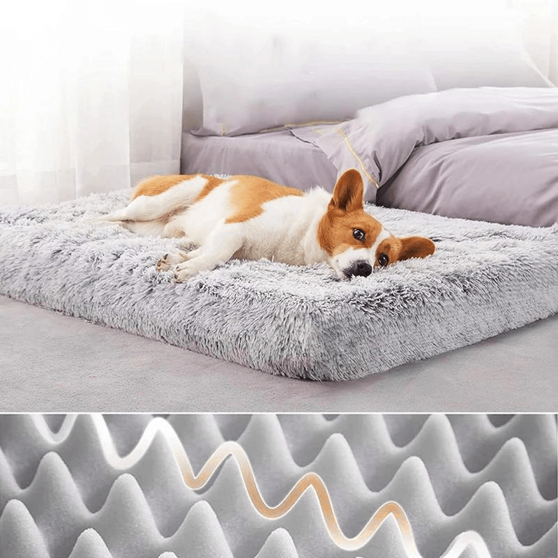Hundebett orthopädisch Gelenke TRENDMOPS ORTHODOGRELAX - Trendmops
