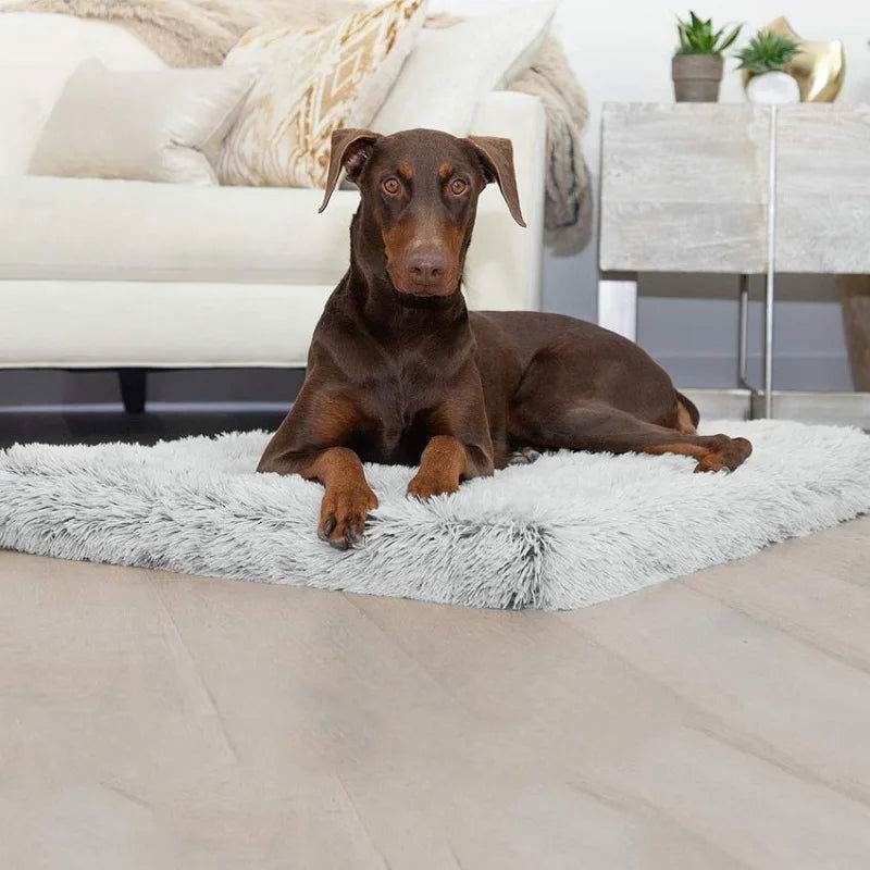 Hundebett orthopädisch Gelenke TRENDMOPS ORTHODOGRELAX - Trendmops