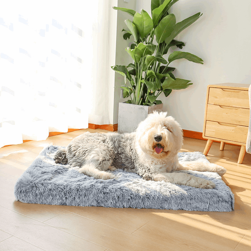 Hundebett orthopädisch Gelenke TRENDMOPS ORTHODOGRELAX - Trendmops