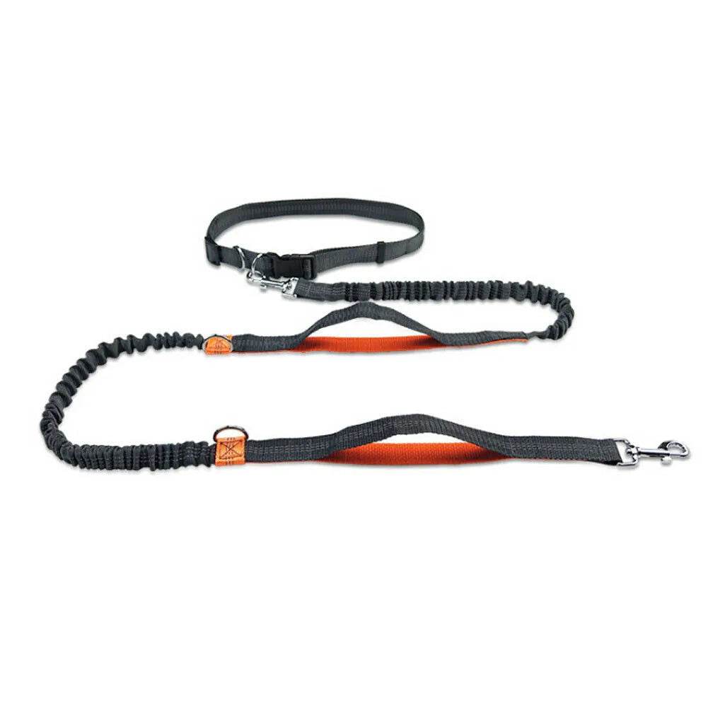 Freihandleine Hundeleine Laufleine elastisches Sport TRENDMOPS RUNNINGDOG - Trendmops