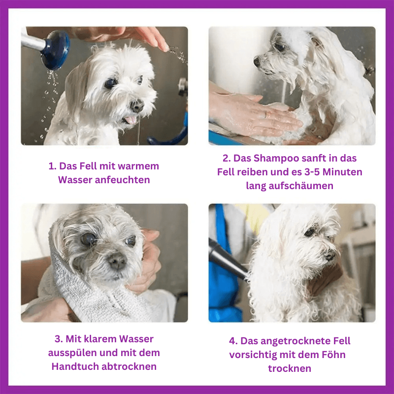 Hundeshampoo 2in1 Shampoo Spülung Fell Katzen TRENDMOPS SCHAUMINA - Trendmops