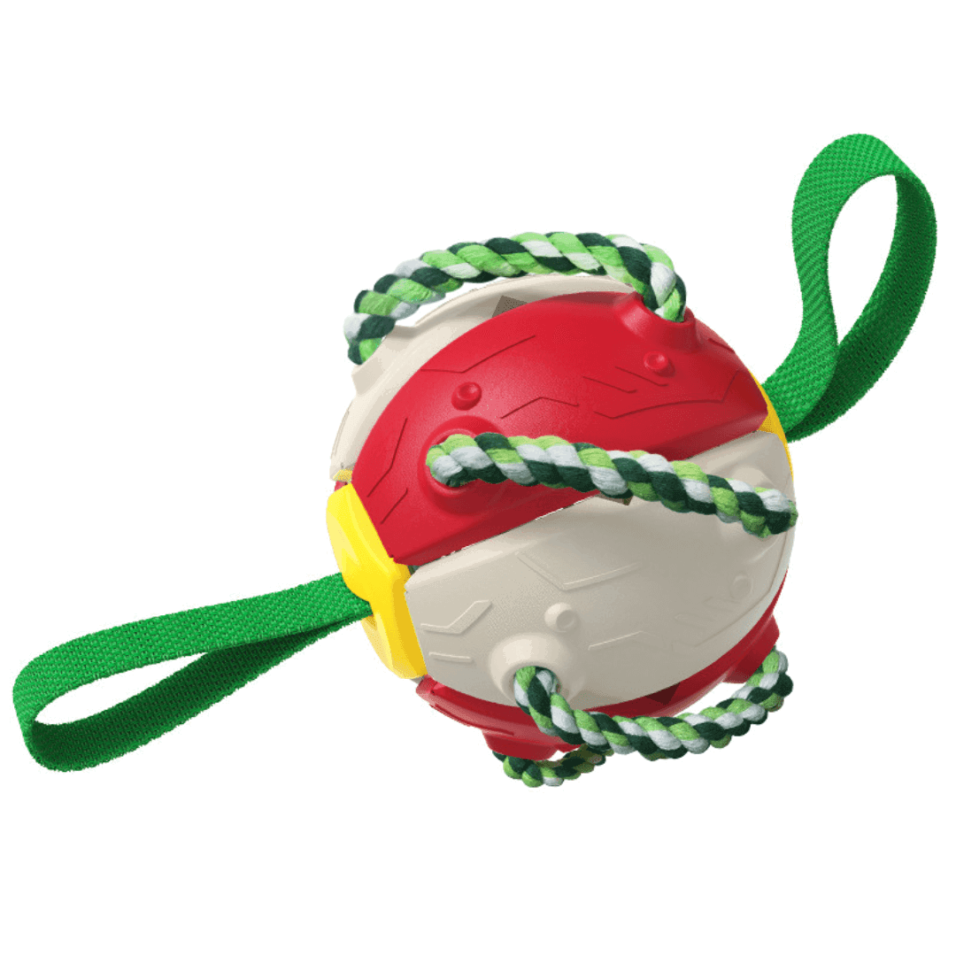 Hundespielzeug 2in1 Frisbee Ball robust TRENDMOPS FUNNYFRISBALL - Trendmops
