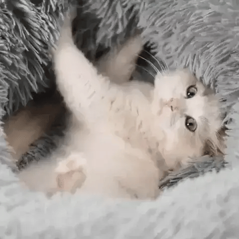 Katzenbett Donut rund Plüsch TRENDMOPS FLUFFYISLAND - Trendmops