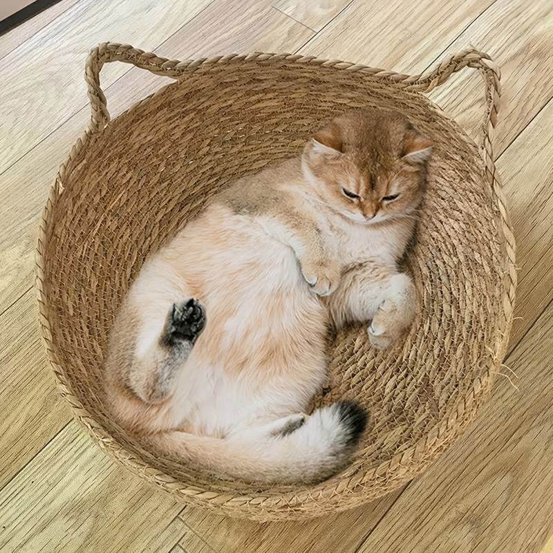Katzenbett geflochten Korb rund Rattan Katze TRENDMOPS INAMORA - Trendmops