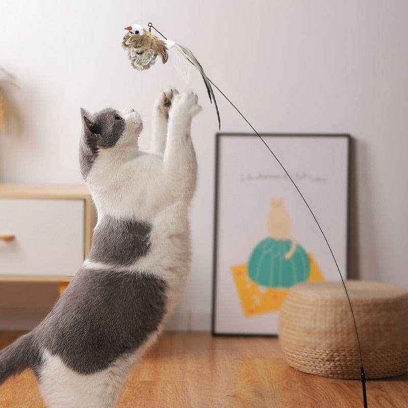 Katzenspielzeug handfrei Angel Saugnapf TRENDMOPS KITTYCATJOY - Trendmops