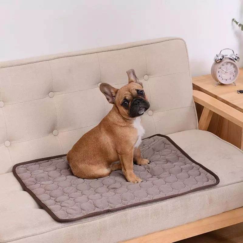 Kühlmatte Decke Hunde Katzen Sommer TRENDMOPS COOLINGPAWZ - Trendmops