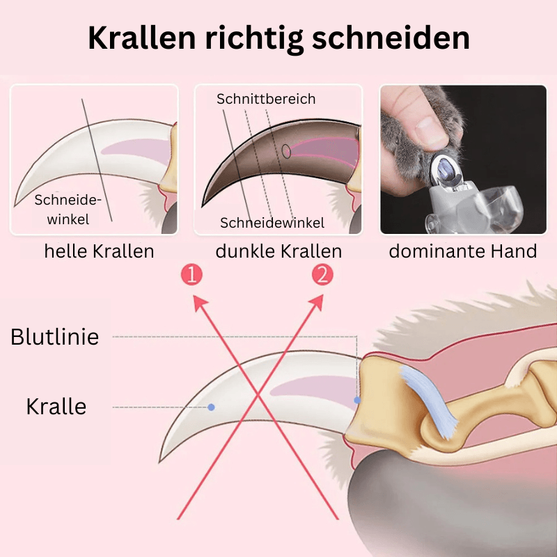 LED Krallenschere Blutlinie Hunde Katzen TRENDMOPS PAWZCARE - Trendmops