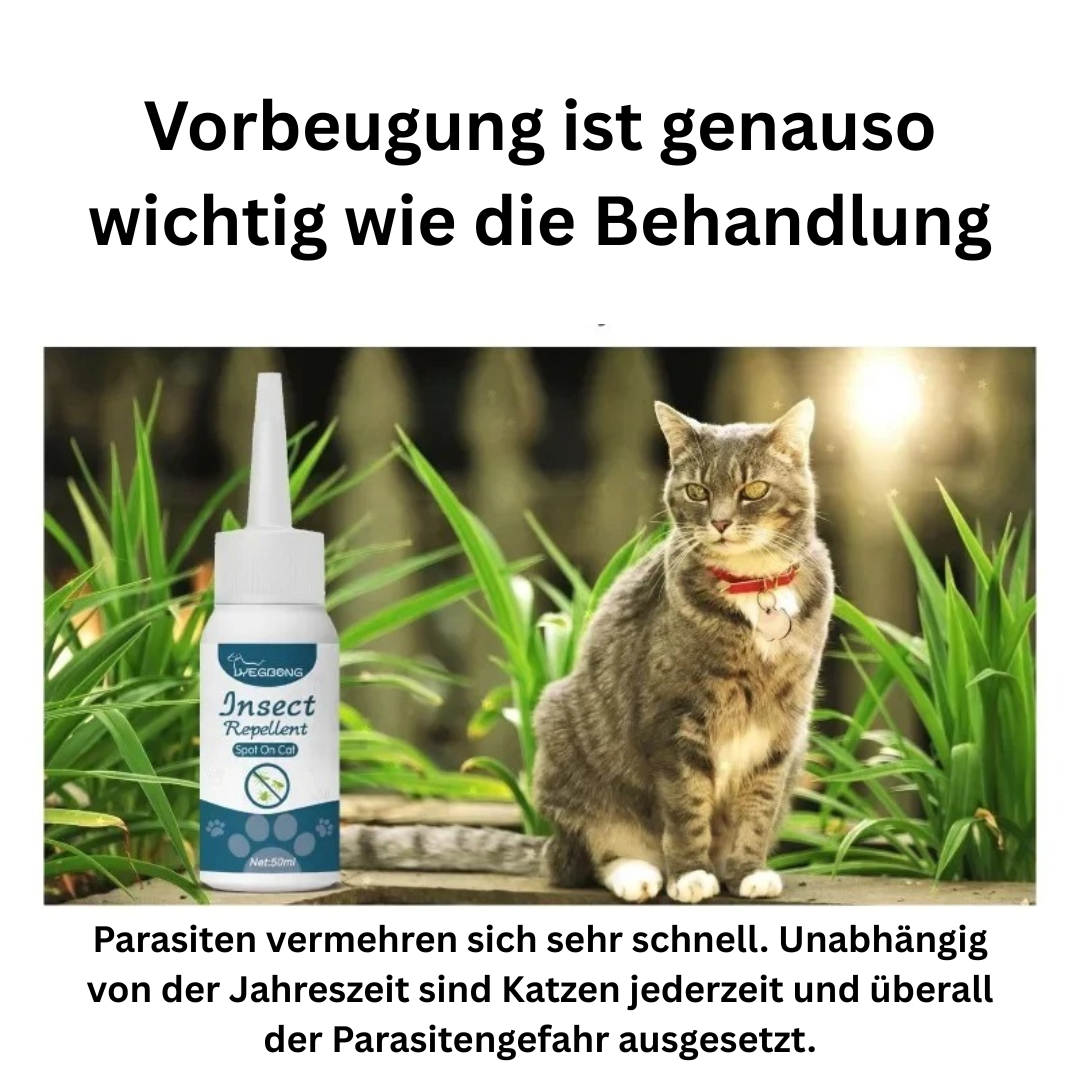 SPOT-ON Schutz Zecken Flöhe Parasiten 50ml Hund Katze TRENDMOPS CATPHARMA