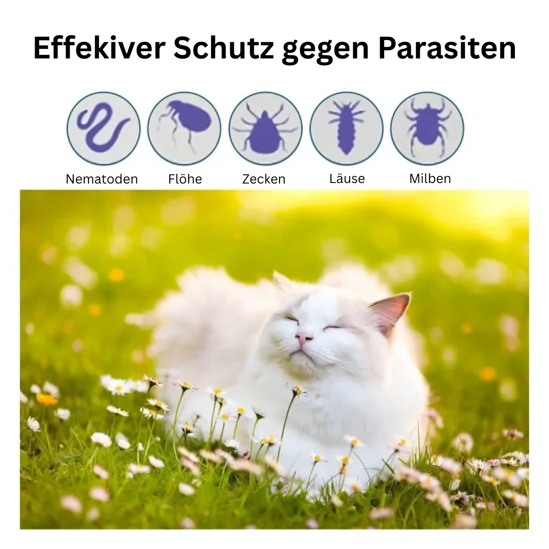 SPOT-ON Schutz Zecken Flöhe Parasiten 50ml Hund Katze TRENDMOPS CATPHARMA